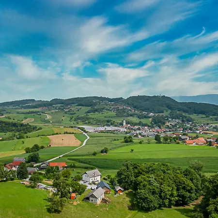 Tatil Evi Vineyard Radovlja With Sauna - Happy Smarjeske Toplice