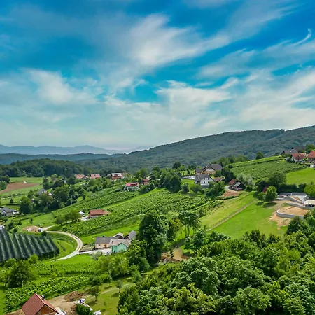 Vineyard Radovlja With Sauna - Happy Tatil Evi Smarjeske Toplice