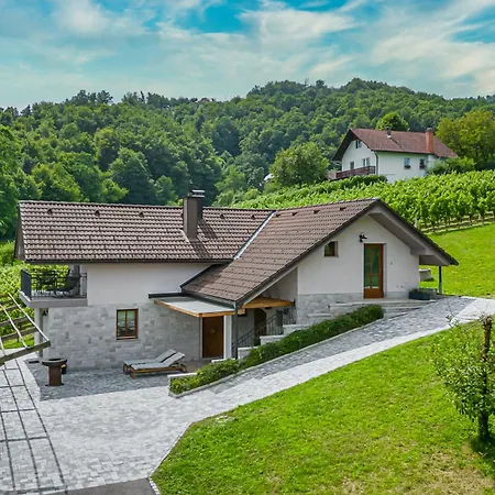 Vineyard Radovlja With Sauna - Happy Tatil Evi *